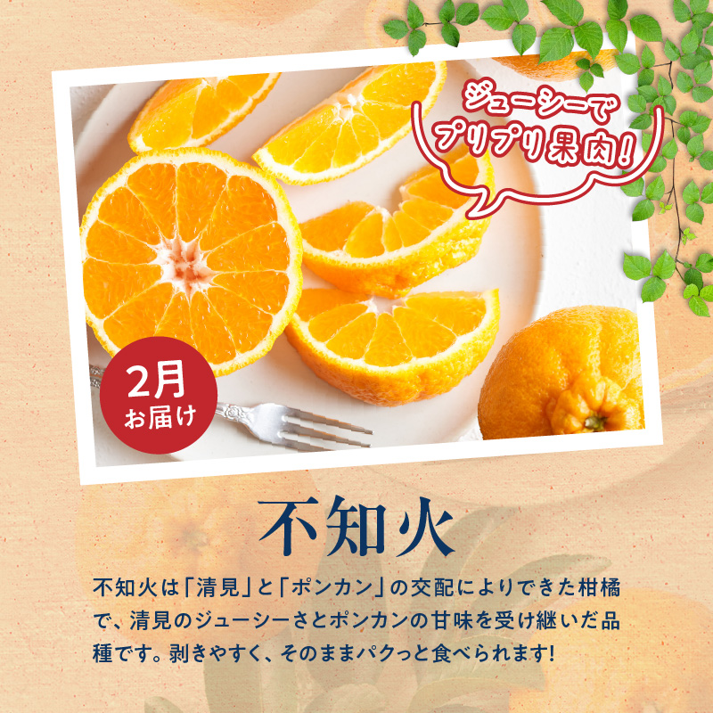 G60-T97_【発送月固定定期便】魚鶴自慢のご家庭用柑橘セット(みかん・不知火・清見)全3回