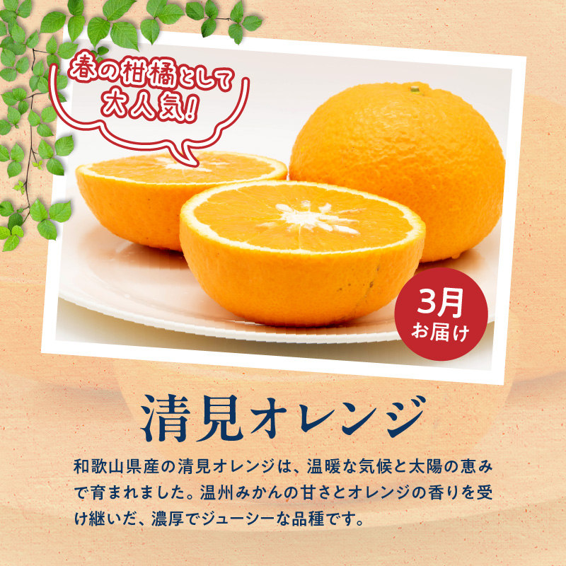 G60-T97_【発送月固定定期便】魚鶴自慢のご家庭用柑橘セット(みかん・不知火・清見)全3回