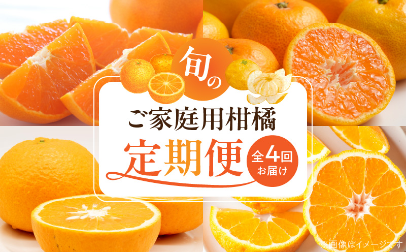 【和歌山県有田郡湯浅町】G60-T98_【発送月固定定期便】紀州和歌山産旬のご家庭用柑橘セット(みかん・不知火・せとか・清見)全4回