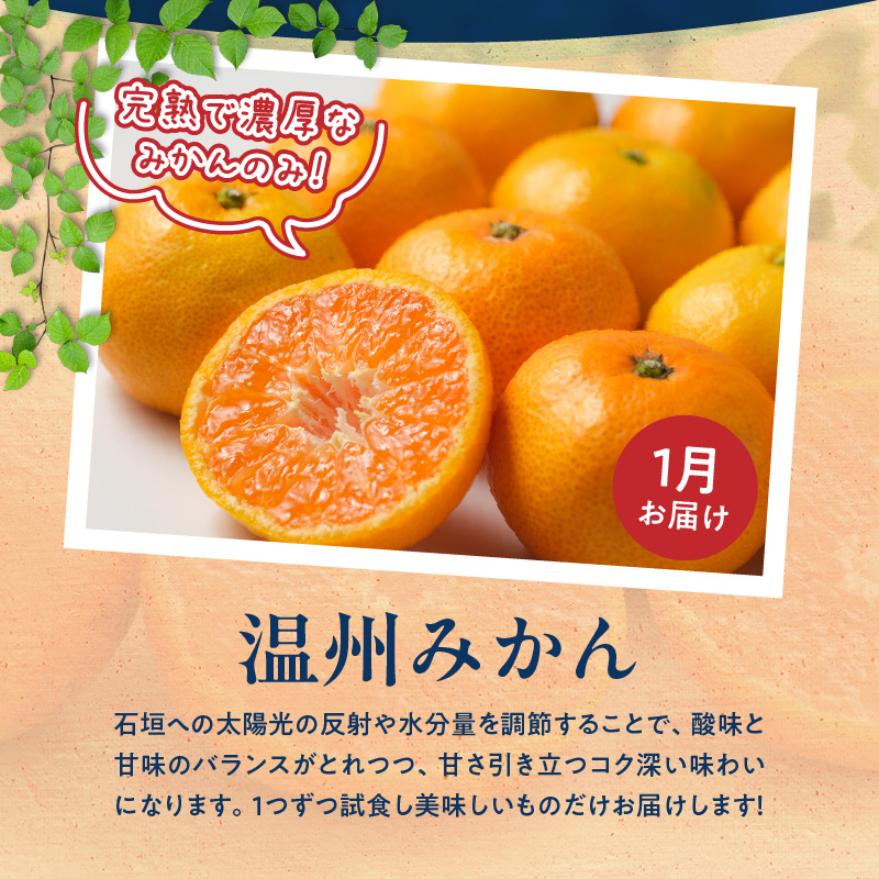 G60-T98_【発送月固定定期便】紀州和歌山産旬のご家庭用柑橘セット(みかん・不知火・せとか・清見)全4回