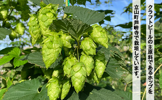 AKATOTTO(あかとっと) 350ml（6本セット） クラフトビール 贈り物 ギフト お酒 アルコール飲料 富山県 立山 芦峅寺 F6T-740