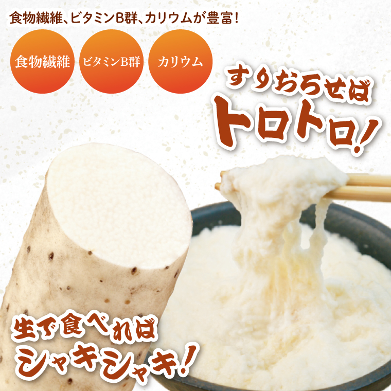 【2025年12月より順次発送】風間商店さんのながいも 約2kg(6～7本)｜ながいも いも 芋 長芋 野菜 やさい 人気 美容 健康 腸活 味噌汁 天ぷら 茨城県 行方市 行方市産(HO-1)
