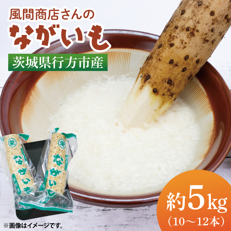 【2025年12月より順次発送】風間商店さんのながいも 約5kg(10～12本)｜ながいも いも 芋 長芋 野菜 やさい 人気 美容 健康 腸活 味噌汁 天ぷら 茨城県 行方市 行方市産(HO-2)