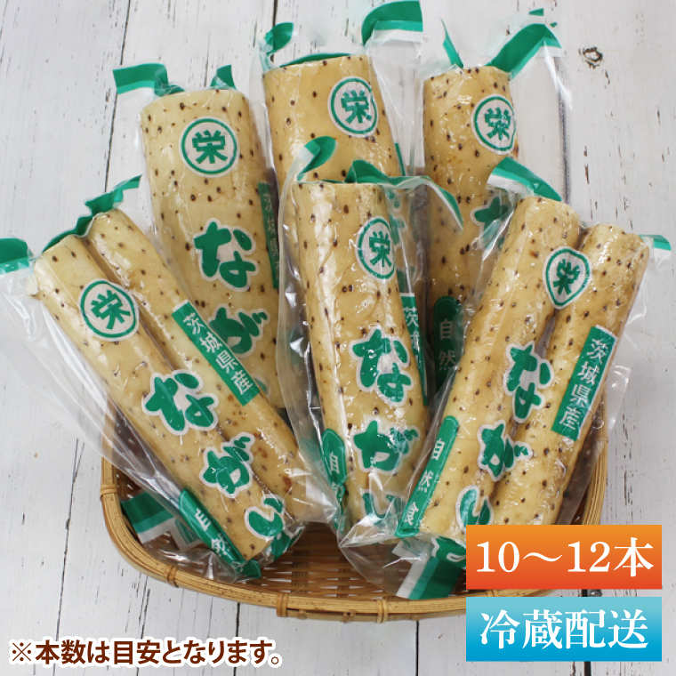 【2025年12月より順次発送】風間商店さんのながいも 約5kg(10～12本)｜ながいも いも 芋 長芋 野菜 やさい 人気 美容 健康 腸活 味噌汁 天ぷら 茨城県 行方市 行方市産(HO-2)