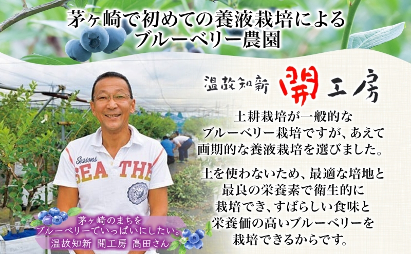 茅ヶ崎産 ブルーベリージャム ＆ ブルーベリークリーム 180g × 1瓶 140g × 2瓶 収穫 太陽 美味 育つ ジャム バター 地場産  新鮮 卵 スプレッド 濃厚 風味 温故知新 開工房 農園 果実 摘み取り 完熟 農園 あっさり 食パン 朝食 送料無料 神奈川県 茅ヶ崎市