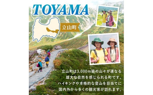 立山町 宿泊施設 宿泊券 15,000円分 (寄附額 60,000円) 宿泊チケット 宿泊 宿 山小屋 山荘 ホテル 旅 旅行 観光 レジャー チケット 登山 トレッキング アルペンルート 山岳観光 立山観光 立山黒部観光 F6T-778