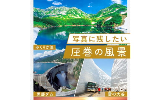 立山町 宿泊施設 宿泊券 15,000円分 (寄附額 60,000円) 宿泊チケット 宿泊 宿 山小屋 山荘 ホテル 旅 旅行 観光 レジャー チケット 登山 トレッキング アルペンルート 山岳観光 立山観光 立山黒部観光 F6T-778