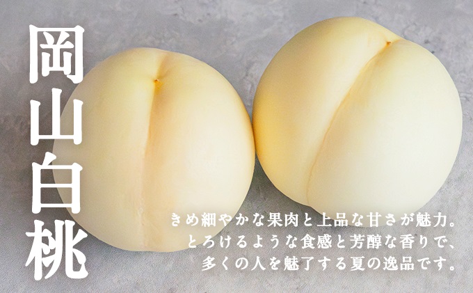 桃 ぶどう 2026年 先行予約 岡山県産 シャインマスカット 大房 1房 白桃 2玉 詰合せ 合計約1.3kg  赤磐市産 フルーツ 果物 ギフト デザート