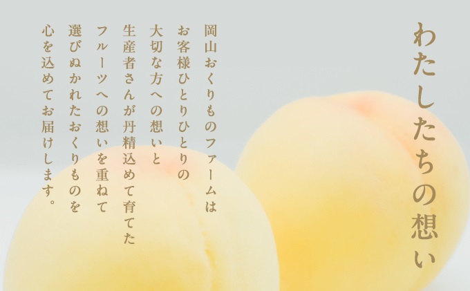 桃 ぶどう 2026年 先行予約 岡山県産 シャインマスカット 大房 1房 白桃 2玉 詰合せ 合計約1.3kg  赤磐市産 フルーツ 果物 ギフト デザート