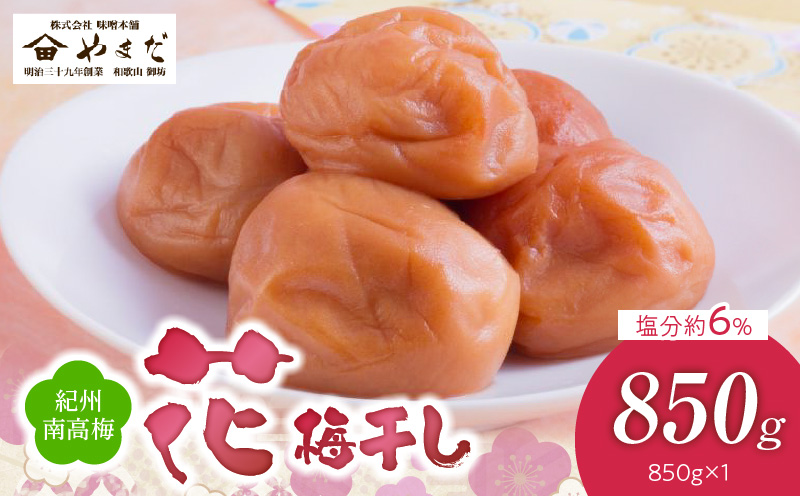 ya̎RLcS󒬁zYD1005_IB썂~uԁv6i850j