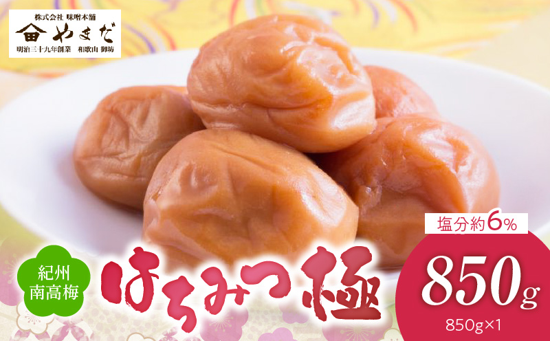 YD1006_紀州南高梅はちみつ極塩分約6％（850ｇ）