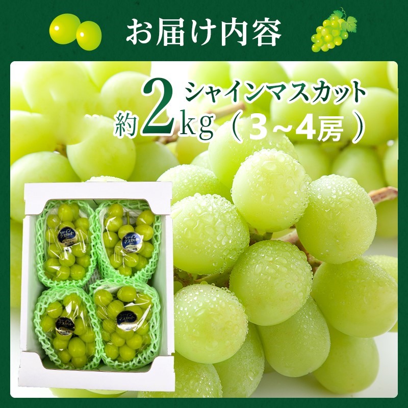 早期受付 ぶどう シャインマスカット 3～4房 約2kg 岡山県高梁市産