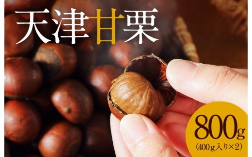 天津甘栗 衣浦食品 800g 栗爪付き や