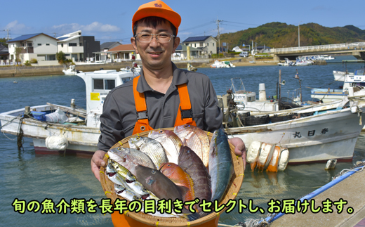 福岡県福津市のふるさと納税 【年6回奇数月】福津の旬の魚介類こだわり定期便【加工承り】【随時開始】[G7018]