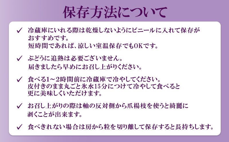 ぶどう 2026年 先行予約 ニュー ピオーネ 大粒 大房 2房 合計1.3kg以上 ブドウ 葡萄 岡山県 赤磐市産 国産 フルーツ 果物 ギフト 赤坂青空市 果物類 
