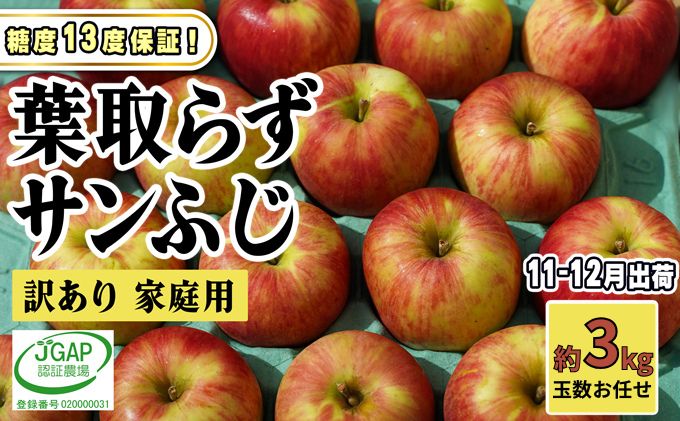 11～12月発送【 糖度保証 】家庭用 葉取らず サンふじ 約 3kg【 訳あり 】鶴翔りんごGAP部会 青森県産 津軽産 リンゴ 林檎 果物 フルーツ デザート 甘味 酸味 食感
