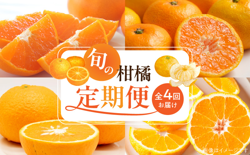 ZE6346n_【まごころ手選別】和歌山県産 有田みかん（極早生） 4kg 秀品