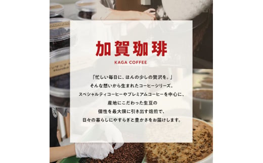 スペシャルティ・プレミアムグレードコーヒー・ドリップバッグ大容量12g 30袋詰め合わせセットC タンザニア・モンデュールAA／ブラジル・フルッタメルカドン 珈琲 コーヒー ドリップ 飲料 F6P-2803