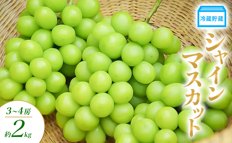 【長野県山ノ内町】冷蔵貯蔵 シャインマスカット 3〜4房 約2kg ぶどう ブドウ 葡萄 マスカット 果物 フルーツ 長野県 長野 山ノ内町