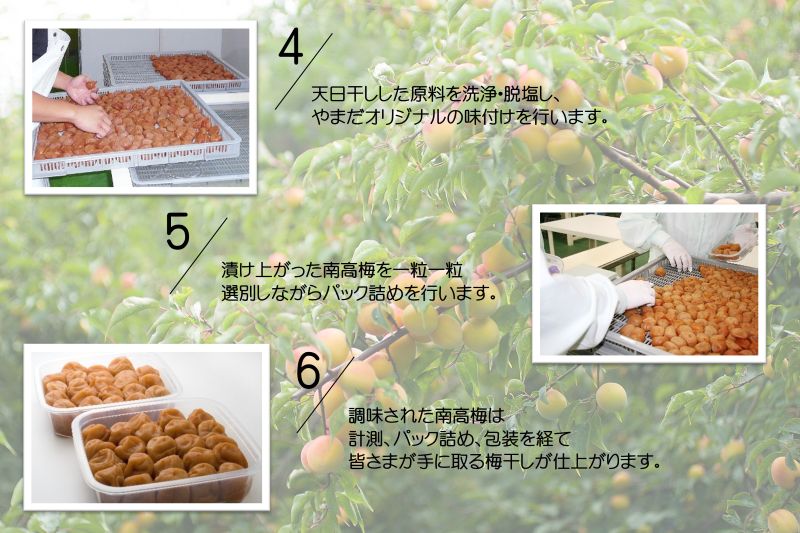 YD1005_紀州南高梅「花」塩分約6％（850ｇ）