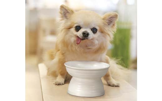 みやわん 脚付きフードボウル １７５ 淡青色 F6P-2509