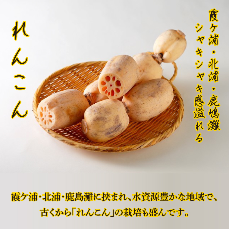 ～GI登録「さつまいも」使用～「行方かんしょとれんこんのカレー」＆「パックご飯」各3個セット｜カレー レトルト レトルトカレー パックご飯 ごはん レンジ コシヒカリ 非常食 ご当地 ご当地カレー 人気 オススメ 便利 特産品 地元特産品 茨城県 行方市(AE-146)