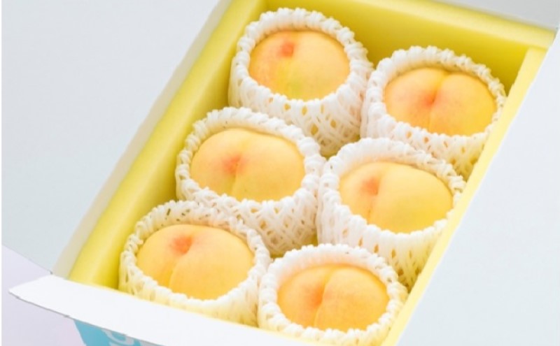 桃 2026年 先行予約 ご家庭用 岡山の 白桃 早生種 5～6玉 合計約1.3kg もも モモ 岡山県産 国産 フルーツ 果物 ギフト