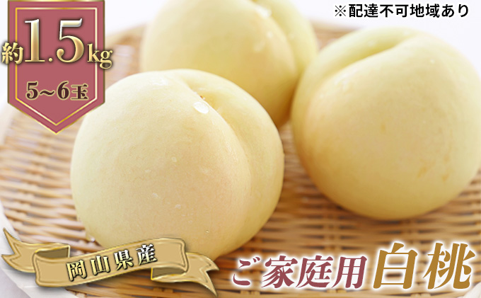 桃 2026年 先行予約 ご家庭用 白桃(晩生種)5〜6玉 合計約1.5kg もも モモ 岡山県産 国産 フルーツ 果物 ギフト