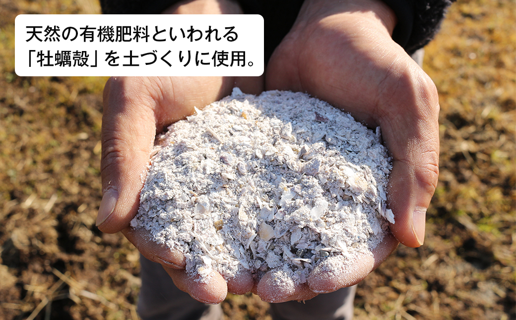 兵庫県淡路市のふるさと納税 淡路島産玉ねぎオイスターラブ 10kg箱　たまねぎ