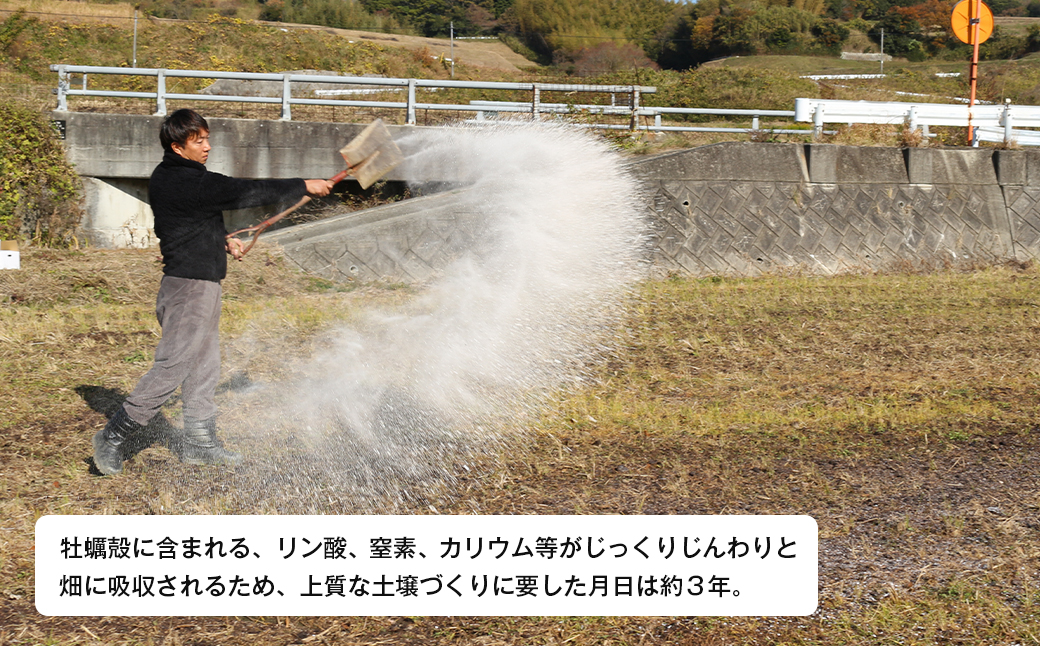 兵庫県淡路市のふるさと納税 淡路島産玉ねぎオイスターラブ 10kg箱　たまねぎ