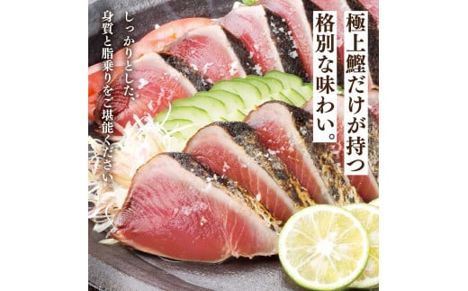 “土佐料理司”塩たたき3節（合計900g以上）／旨い鰹だからこそ塩で頂く。極上鰹ならではの格別な味わい。ギフト 2022 プレゼント 海鮮 グルメ 惣菜 食べ物