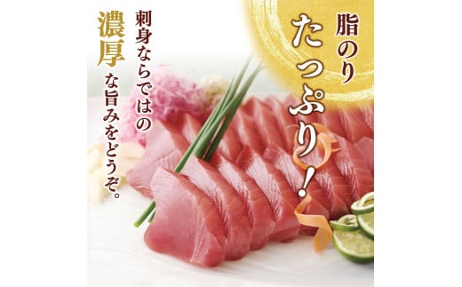 “土佐料理司”一本釣りとろ鰹の刺身セット／モチモチの食感に、脂が乗った濃厚なうまみが広がり、最後はスッととろけるような口どけ。美食家の舌もとろけさす「とろ鰹の刺身」。故郷納税 2023 ギフト プレゼント 海鮮 グルメ 惣菜 食べ物