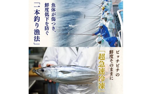 “土佐料理司”一本釣りとろ鰹の刺身セット／モチモチの食感に、脂が乗った濃厚なうまみが広がり、最後はスッととろけるような口どけ。美食家の舌もとろけさす「とろ鰹の刺身」。故郷納税 2023 ギフト プレゼント 海鮮 グルメ 惣菜 食べ物