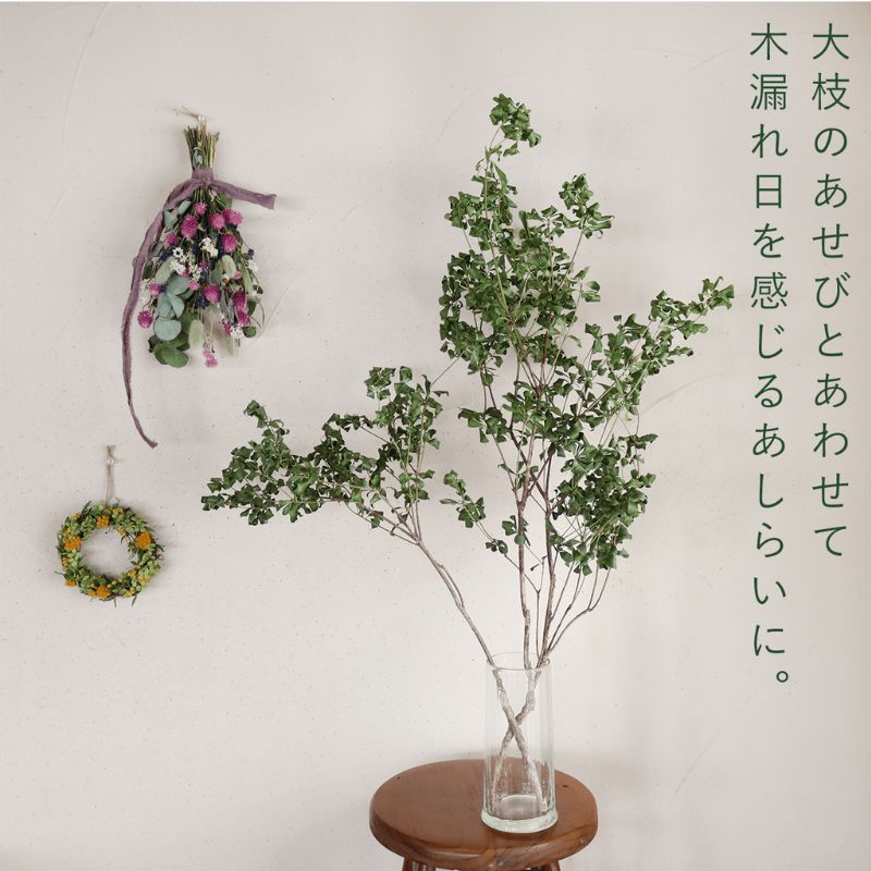 ・*.punchan‪‪‪.*¨̮・様 ドライフラワー スワッグ punchan‪‪‪.*¨̮・様 ドライフラワー スワッグ punchan‪‪‪.*‬‬‬‬‬‬