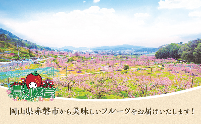 桃 2026年 先行予約 おかやま 夢 白桃 約1.8kg 5～7玉 進物用 もも モモ フルーツ 果物 岡山 赤磐市産 農マル園芸 あかいわ農園 家庭用 