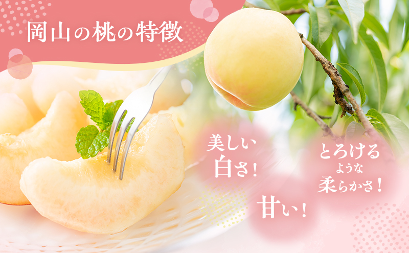 固めの 桃 2026年 先行予約 晩生の旬の 白桃 約1.8kg 5～7玉 進物用 もも モモ フルーツ 果物 岡山 赤磐市産 農マル園芸 あかいわ農園 家庭用 白皇 白露 甘々燦燦 あきぞら 西王母 瀬戸内白桃 