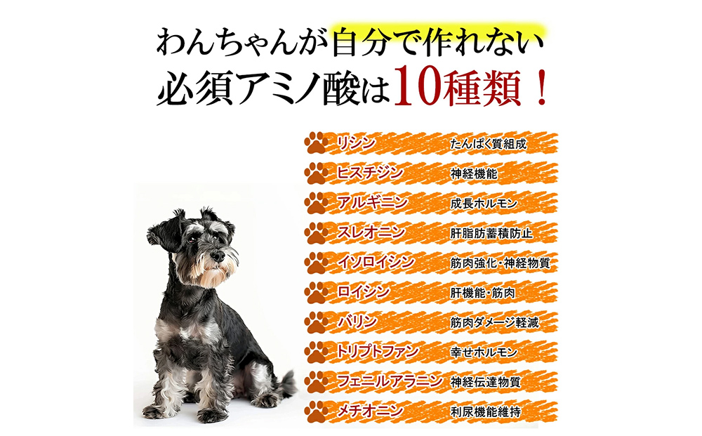 ドッグフード 熟成肉ジャーキーおやつ詰合せセット