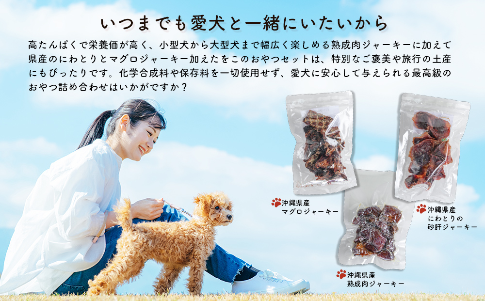 ドッグフード 熟成肉ジャーキーおやつ詰合せセット