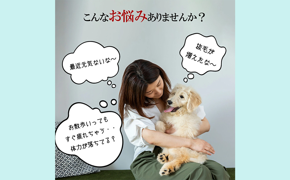 ドッグフード 熟成肉ジャーキーおやつ詰合せセット