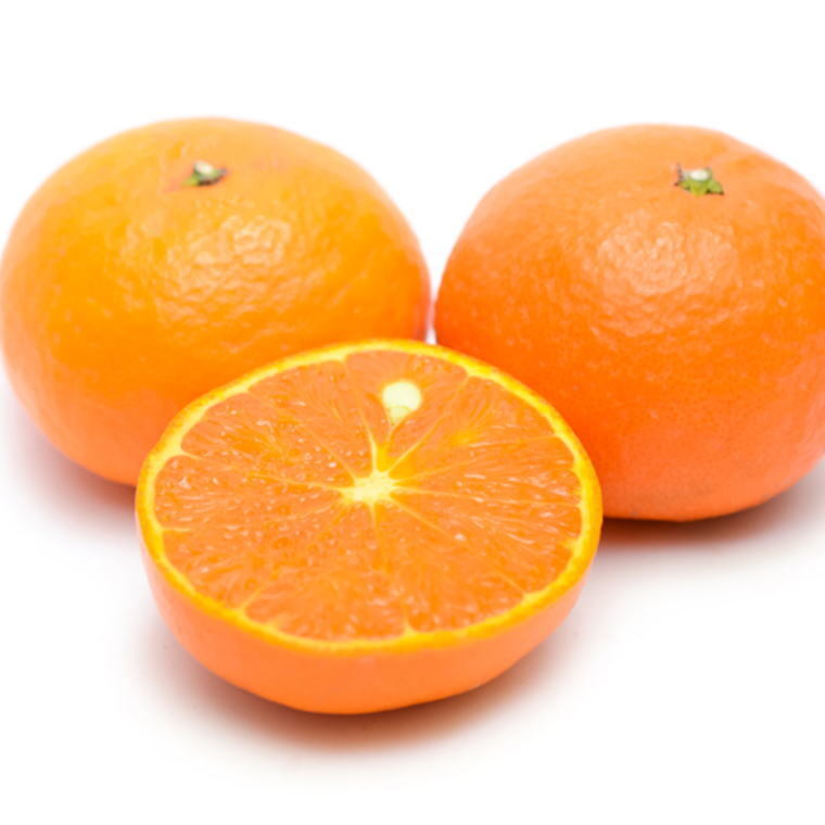 【春みかん】和歌山有田産カラマンダリン約5kg(サイズおまかせ)