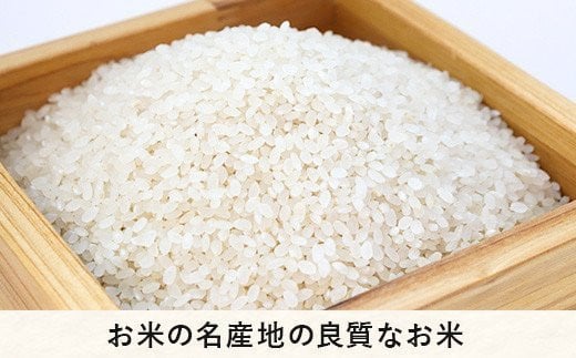 米 こしひかり 5kg × 3回 (3ヶ月定期便) ( 令和7年産 ) 山岸ファームのお米 沖縄県への配送不可 長野県 飯綱町 2025年10月上旬頃から順次発送予定 [2001]