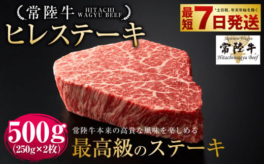 【茨城県守谷市】【常陸牛】ヒレステーキ 250g×2枚 | 計500g 牛肉 肉 お肉 ヒレ ステーキ 冷凍 茨城県 守谷市