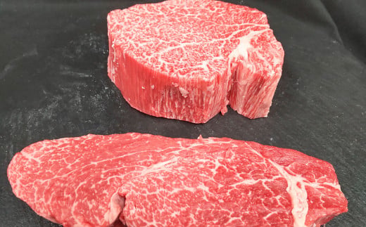 【常陸牛】ヒレステーキ 250g×2枚 | 計500g 牛肉 肉 お肉 ヒレ ステーキ 冷凍 茨城県 守谷市