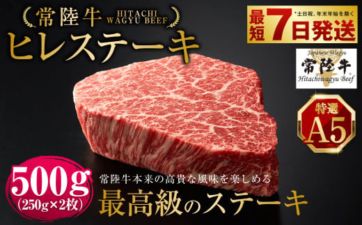 【茨城県守谷市】【常陸牛特選A5】ヒレステーキ250g×2枚 | 計500g 牛肉 肉 お肉 ヒレ ステーキ 冷凍 茨城県 守谷市