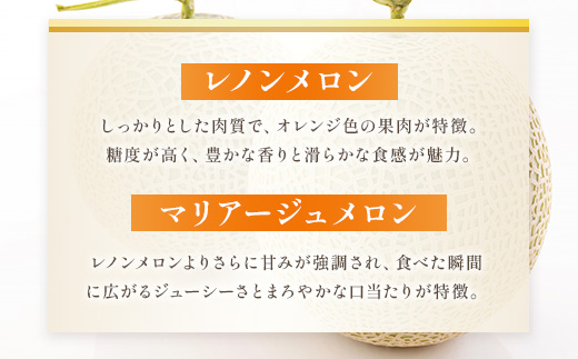 熊本県八代市のふるさと納税 【先行予約】赤肉メロン（レノンまたはマリアージュメロン）約1.3kg 果物 くだもの 旬 ご褒美 季節の果物 【2026年6月中旬より順次発送】