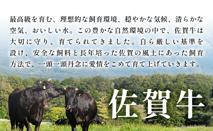 佐賀県大町町のふるさと納税 艶さし！【A4～A5】佐賀牛焼肉用　500g