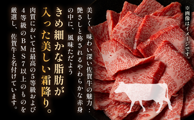 佐賀県大町町のふるさと納税 艶さし！【A4～A5】佐賀牛焼肉用　500g