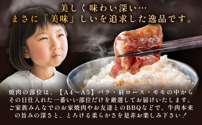 佐賀県大町町のふるさと納税 艶さし！【A4～A5】佐賀牛焼肉用　500g