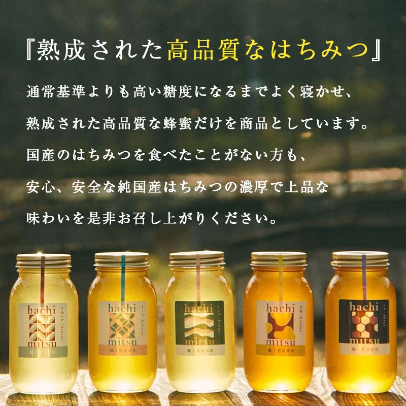 北のハイグレード2024】シナ(菩提樹)蜂蜜1000gx1 F6S-474 / 北海道