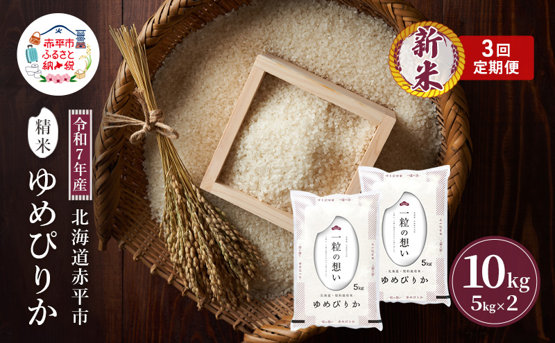 ykCԕszߘa7NY kC ԕY ߂҂肩 10kg 3A͂    kC ͂  CX ɂ   y 3